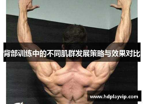 背部训练中的不同肌群发展策略与效果对比