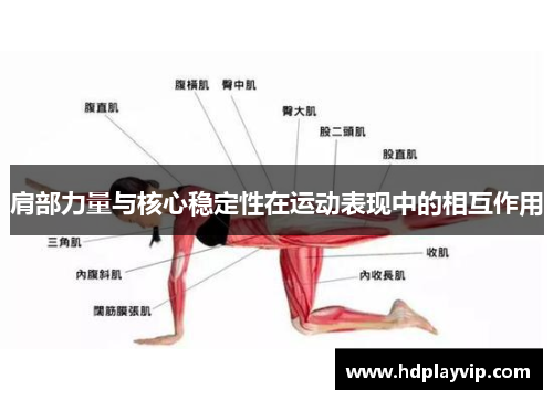 肩部力量与核心稳定性在运动表现中的相互作用